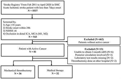 Significance of D-Dimer in Acute Ischemic Stroke Patients With Large Vessel Occlusion Accompanied by Active Cancer